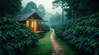 Coorg Coffee Retreats Special: Inside Romantic Monsoon Hideaways Today