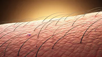 The Scalp's Silent Struggle: Navigating Frequent Hair Colouring and Dermatological Concerns