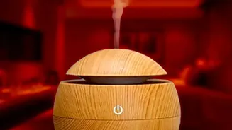 Rainy Season Indoor Air: Why Moisture Control Can Affect Home Odours