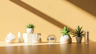 Vastu's Guiding Light: Tips to Banish Negative Energy in Your Home