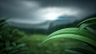 UV Rays Don't Take A Monsoon Break