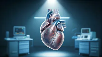 Related Stories banner