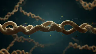 Related Stories banner