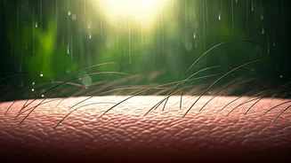 Your Scalp Could Be Behind Monsoon Hair Loss