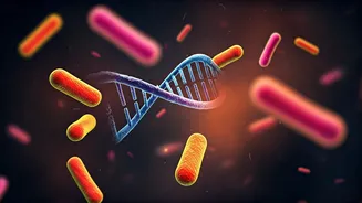 Firstborns' Edge: Do Germs Play a Role in Their Success?