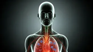 Unraveling Food Cravings: Your Body's Hidden Nutrient Signals Explained