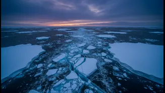 Missing Antarctic Sea Ice Raises Global Scientific Interest