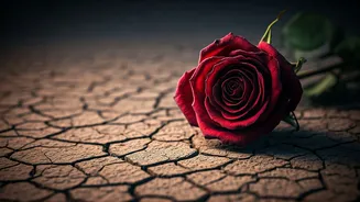 Beyond the 'For the Kids' Excuse: Navigating Marital Stability and Well-being