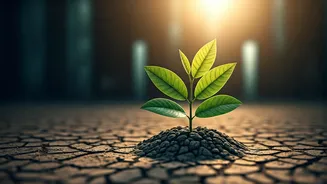 Beyond AI: The Quiet Trait That Secures Your Career in a Changing World