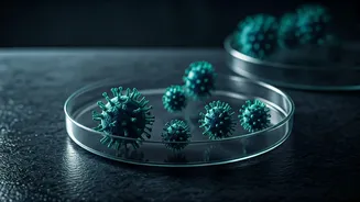Hantavirus Dread: Inside the Cruise Ship Outbreak and Understanding This Deadly Rodent-Borne Virus