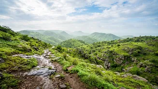 Jaipur's Monsoon Trekking Trails Raises Questions About Rainy-Season Routes Around Jaipur