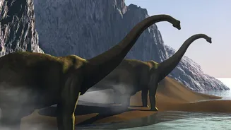 34-38 Million Years Adds Important Context To 38-Million-Year-Old Marine Fossils Found In Ladakh