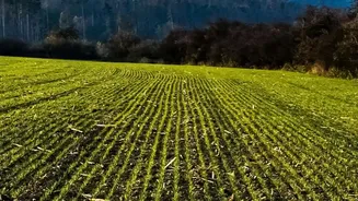 Soil Condition Is Becoming a Core Measure of Farm Resilience