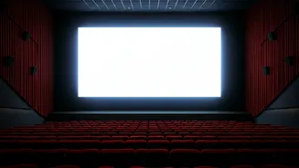 Bollywood's Box Office: Hits, Misses, and Emerging Trends