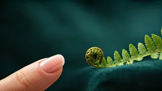 Decoding Your Skin: Unveiling Health Secrets from Lumps to Nails