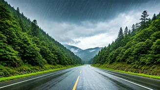 Why Morning Drives Are Better During The Monsoon