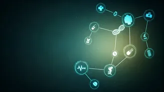 Health Wrap Ep 28: Unpacking Dengue Vaccines, Measles Risks & Broader Health System Challenges