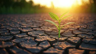 The Career Trend Helping Candidates Build Confidence