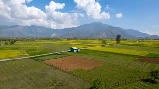 J&K Government Introduces Agricultural Pause Periods Under VB-GRAM-G Scheme