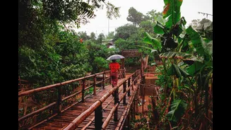 Northeast under 7-20 cm rainfall watch: Arunachal, Assam, Meghalaya stay on heavy-rain alert