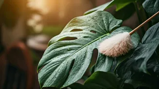 Banish Dust Bunnies: Essential Tips for Sparkling Indoor Plant Leaves