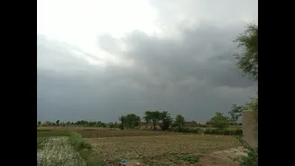 How Weak Monsoons Impact Rural Demand in India