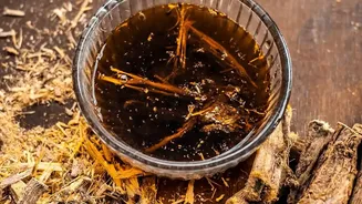 Urban Beverage Menus Embrace Native Herbs With Cold-Steeped Orthodox Tea Infusions This Summer