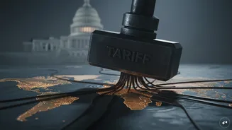 India among countries that could face 100% tariffs under US Russia sanctions bill