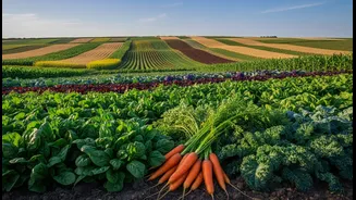 How readers can connect farm planning with local nutrition goals with Crop Diversity And Hidden Hunger