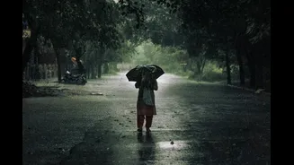 Delhi Records Highest October Rainfall Since 2022, Cooler Weather Across North India