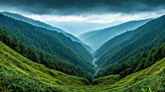 Why Sikkim Is A Stunning Monsoon Getaway