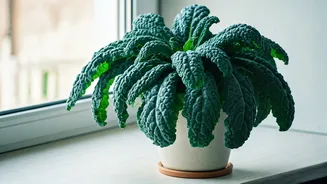 Cultivate Your Own Greens: A Comprehensive Guide to Growing Kale Indoors