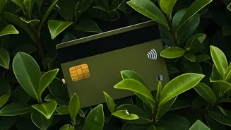Credit Card Points Guide Earn Free Flights From Daily UPI Payments