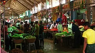 Navi Mumbai News: Vegetable Prices Fall In APMC Market Amid Surplus Supply Due To Festivities
