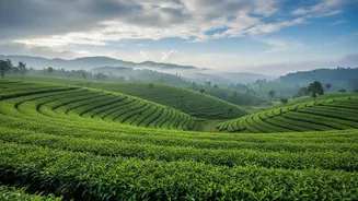 Monsoon Makes Assam's Natural Attractions Even More Memorable