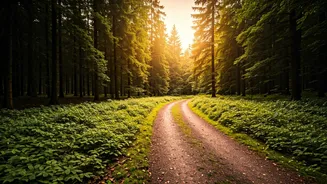 Quiet Trips Are Beating Tourist-Trap Travel Plans