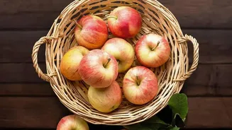 Why Advanced Cold-Storage Solutions Are Saving Kashmir’s Apple Harvest From Post-Harvest Spoilage