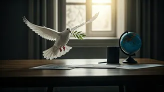 Zelenskyy's Peace Plan and International Diplomacy