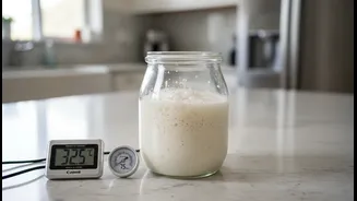 Why Embracing Dynamic Weather-Based Fermentation Rules Elevates Indian Home Cooking Precision Standards
