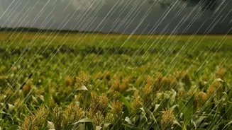 How To Plan An Amrit Udyan Outing Without Letting Monsoon Weather Ruin It