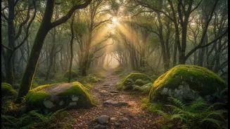 Why young domestic travellers choose spiritual slow-travel trails over commercial mountain resorts