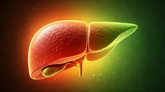 Sudden Weight Gain? Expert Explains Link to Fatty Liver Disease & Prevention Tips