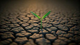 Revive Parched Gardens: 7 Expert Tips to Conquer Hydrophobic Soil