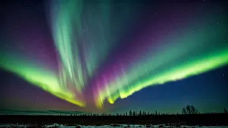 The Sky Is Hosting Nature's Greatest Show