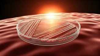 Mumbai's Heatwave Fuels 50% Rise in Gut Infections: A Case Study and Prevention Guide