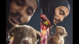 Jaipur Zomato Delivery Man Takes A Pause From Work Call To Rescue Stray Dog: ‘Bohot Dino Baad Koi Dost Mila Hai’