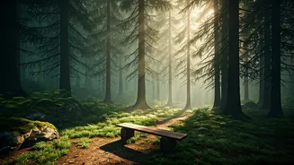 Why Everyone Wants A Forest Stay Now