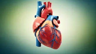 Unlock Heart Health: 5 Japanese Secrets from Hara Hachi Bu to Ikigai