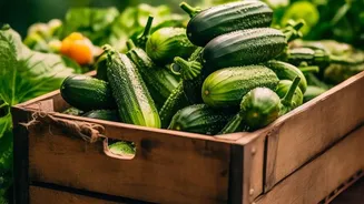 A Practical Checklist For A Use-First Produce Box Covers Delicate Vegetables And Open Packs