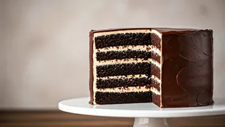 13 Delicious Chocolate Cake Recipes to Bake Today!